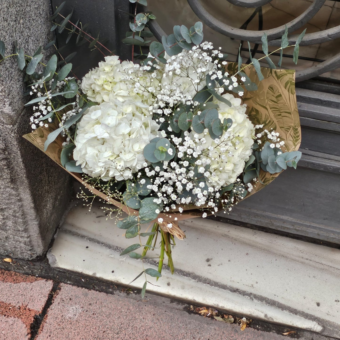Hortensia