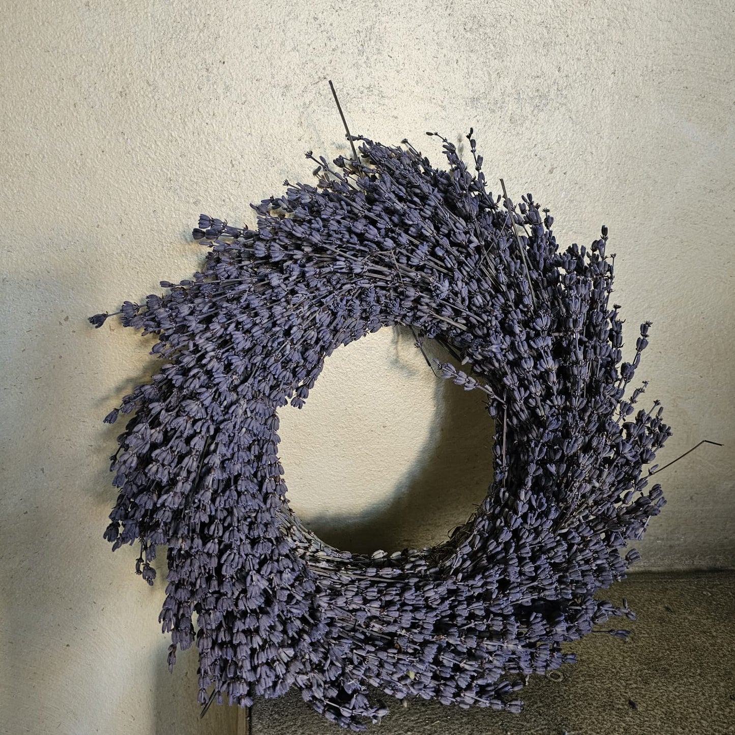 Lavanda