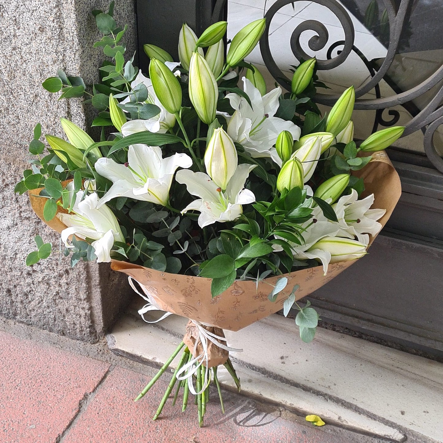 Lilium Blanco